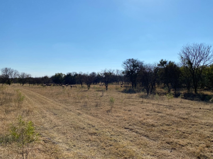 5 Bedroom Property for Sale in Koster North West